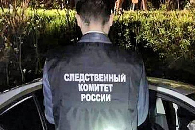 В Дубенском районе ребёнка покусала собака. Дальше – по Закону…
