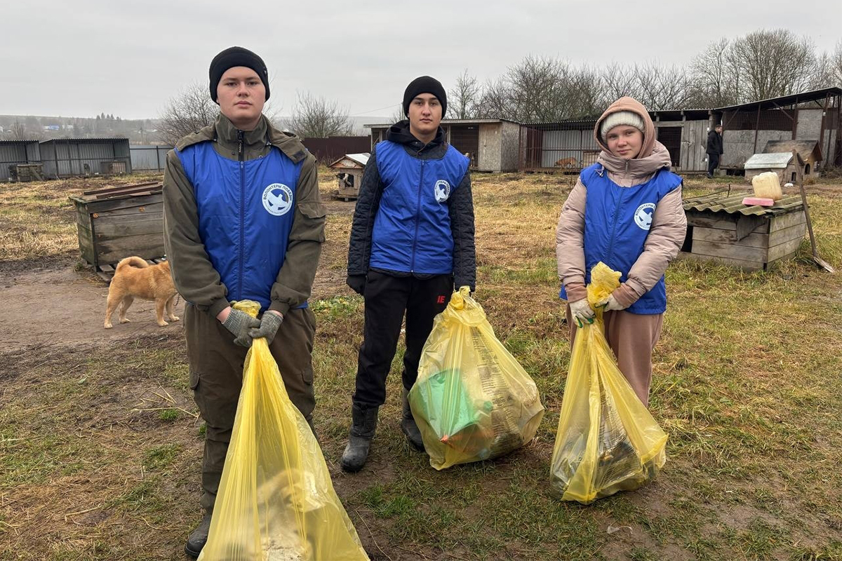 Волонтёры Гвардейской школы помогли в уборке территории приюта для собак Волонтёры Гвардейской школы помогли в уборке территории приюта для собак