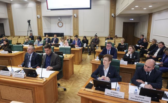 Опыт поддержки семей в Тульской области представлен в Совете Федерации