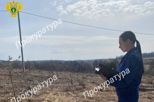 В Заокском районе администрации МО не обновили противопожарные минерализованные полосы