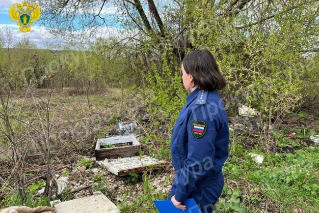 В Кимовском районе обнаружена несанкционированная свалка