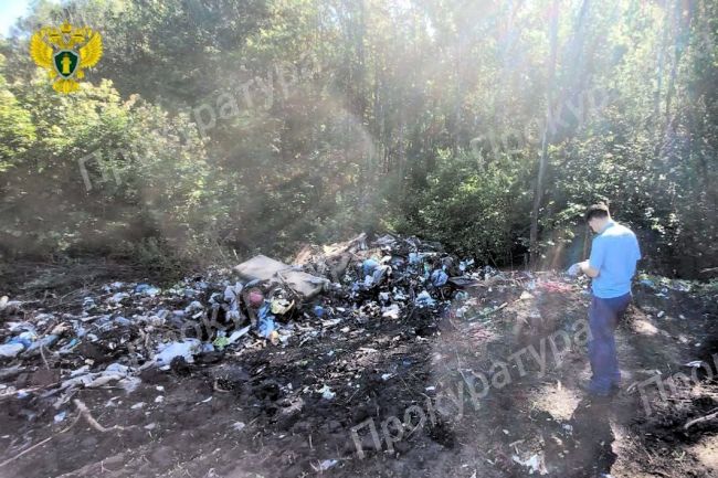 Прокуратура Тулы проверяет информацию о свалке мусора вблизи жилых домов в поселке Косая Гора