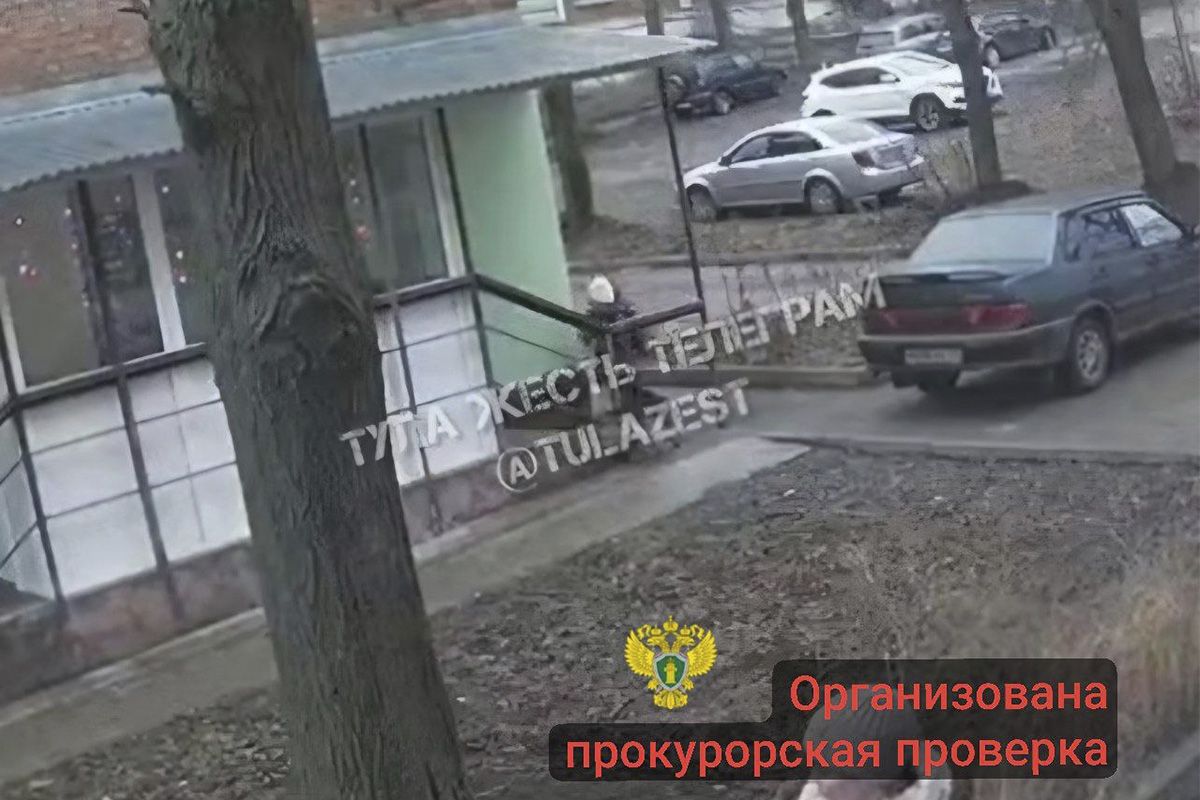 Тульская прокуратура организовала проверку по факту нападения безнадзорной собаки на ребёнка Тульская прокуратура организовала проверку по факту нападения безнадзорной собаки на ребёнка