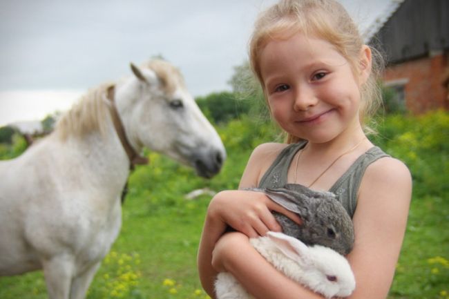 Не скандалит, не грубит, любит животных: россияне рассказали, каких детей считают воспитанными