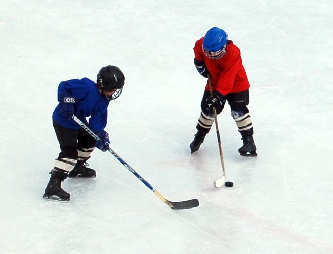 В Тульской области стартовали игры Школьной хоккейной лиги
