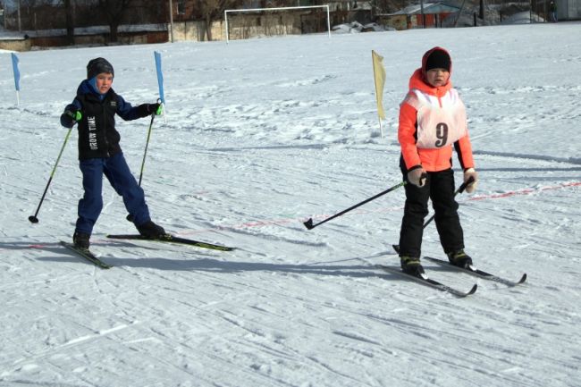 В ефремовской городской роще состоится семейная лыжная эстафета