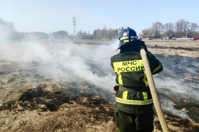 В селе Новокрасивое прошли учения по тушению условного ландшафтного пожара