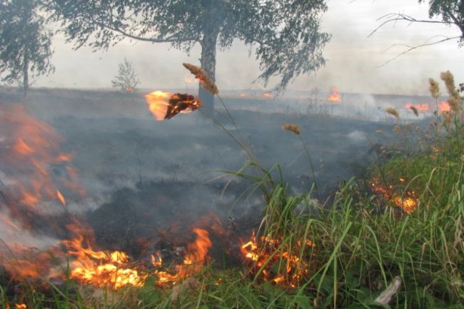На территории Ефремовского района объявлено начало пожароопасного сезона