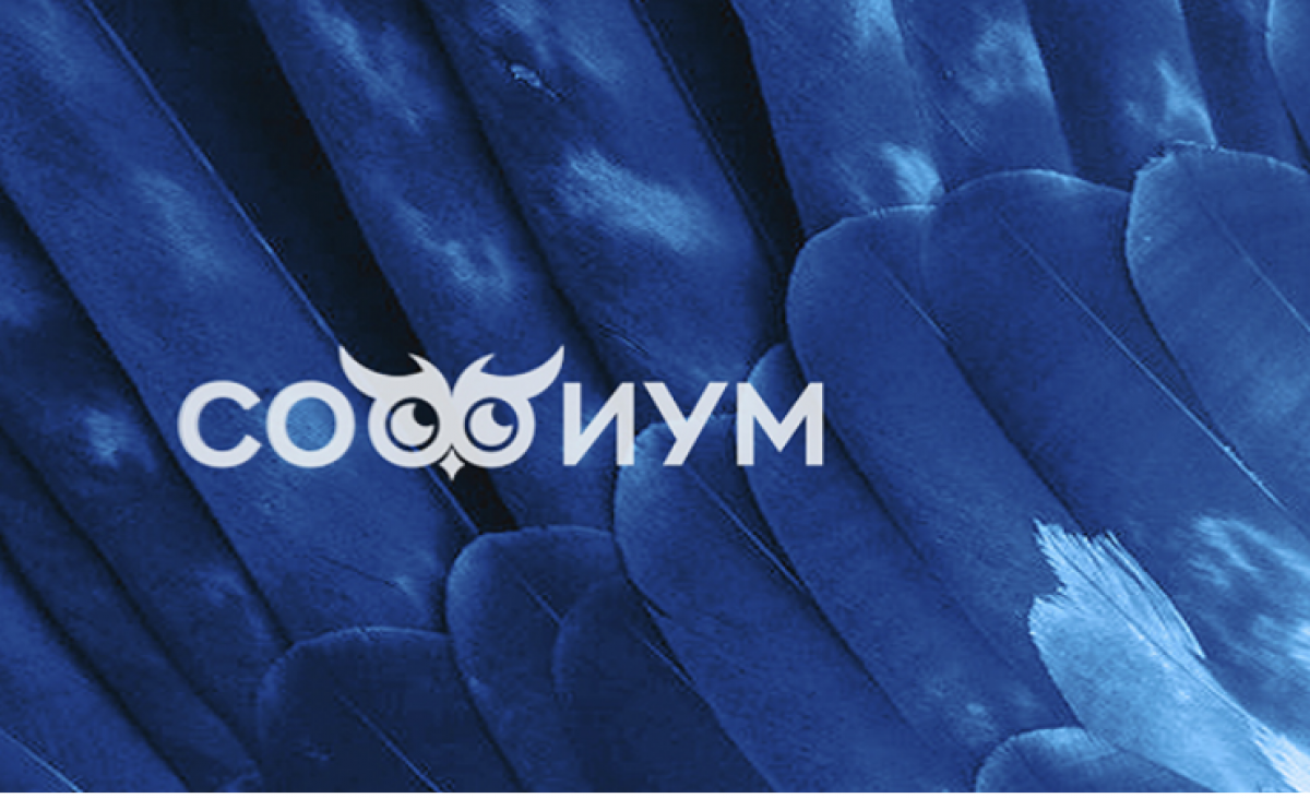 Ефремовские школьники могут поучаствовать в олимпиаде по избирательному праву «Софиум»