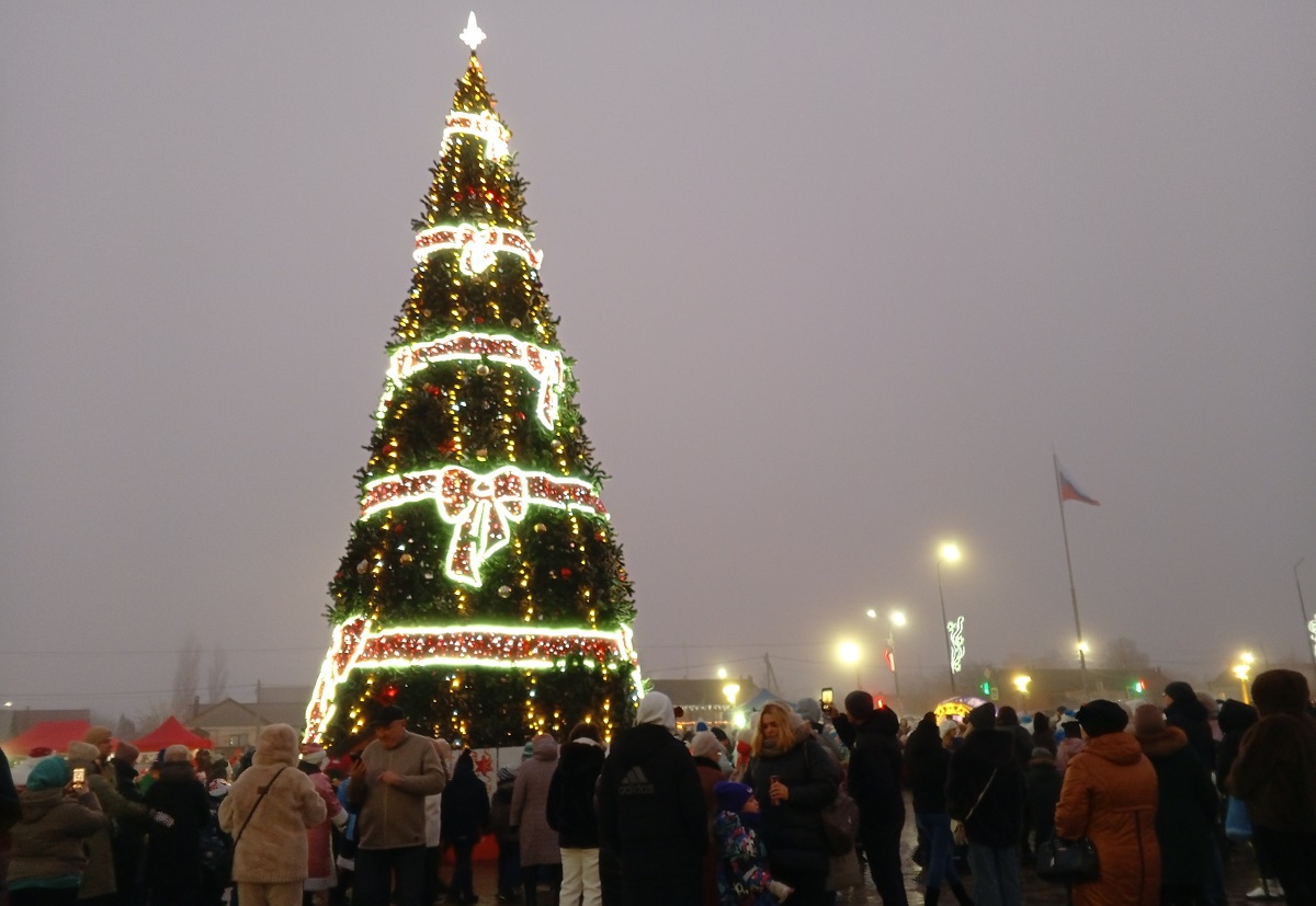 В Ефремове весело и ярко прошло открытие городской елки В Ефремове весело и ярко прошло открытие городской елки