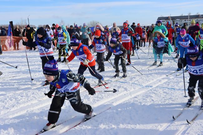 На «Лыжню Веденина» в Тульской области вышли около 600 любителей спорта