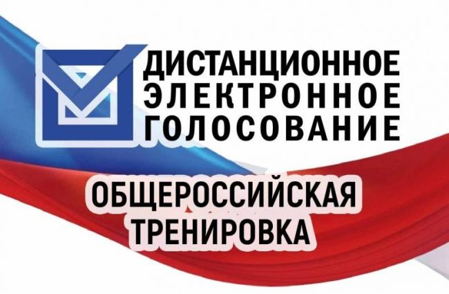 Более 100 тыс тульских избирателей подали заявления для участия в тренировке ДЭГ