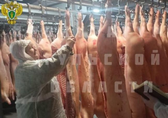 В Тульской области обнаружили  мясную продукцию сомнительного качества