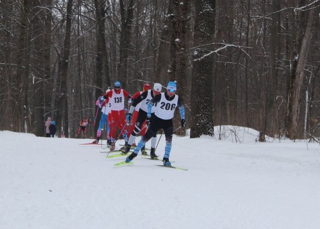 В Ефремове прошли областные соревнования по лыжным гонкам