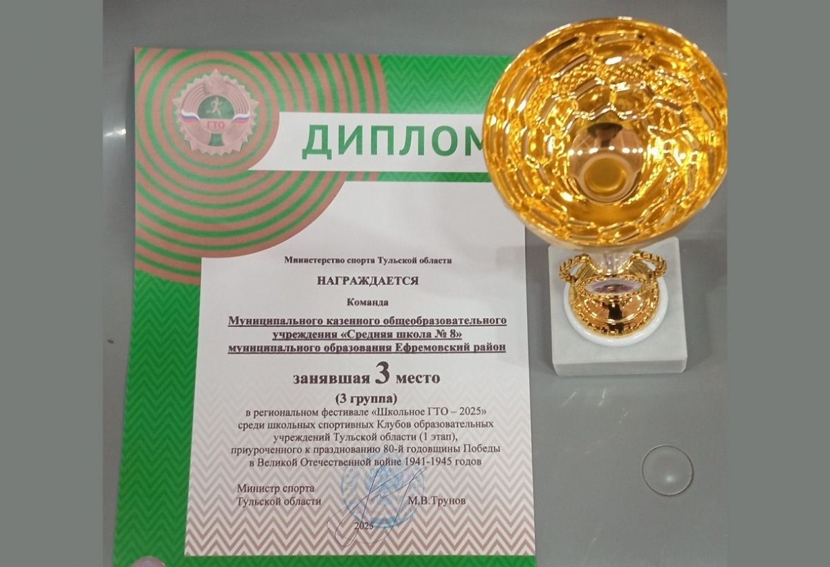 Ефремовская школа стала призером регионального фестиваля ГТО Ефремовская школа стала призером регионального фестиваля ГТО