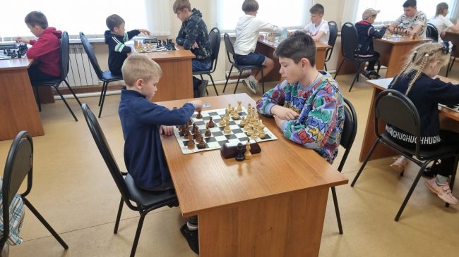 Ефремовские шахматисты делятся своими успехами