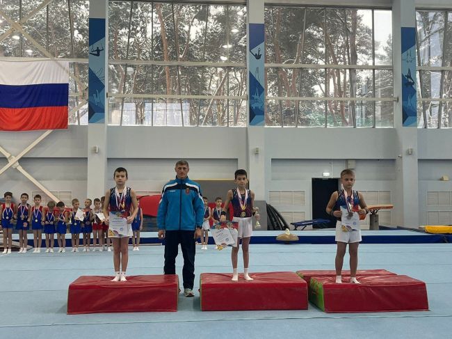 Ефремовские гимнасты заняли призовые места на соревнованиях