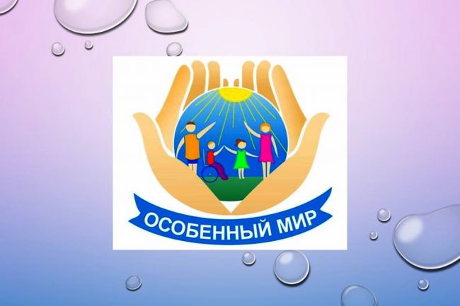 Ефремовская общественная организация «Особенный мир» получила президентский грант