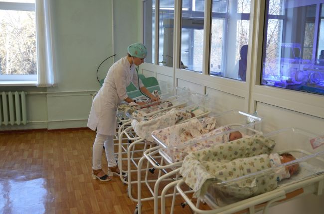 Первым новорожденным в 2024 году в Ефремовской больнице стал мальчик Владимир