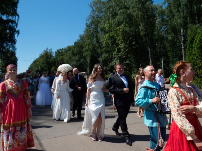 Тула будет два дня отмечать праздник семьи, любви и верности