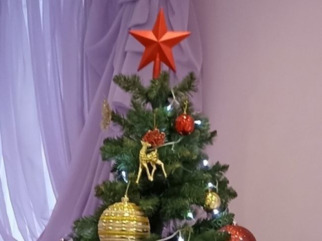 В Тульской области разъяснили, кто получит приглашения на новогоднюю елку
