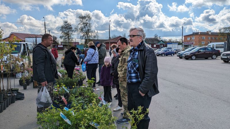 Ярмарка «Сад-Палисад» в Епифани: Праздник для Садоводов и Огородников