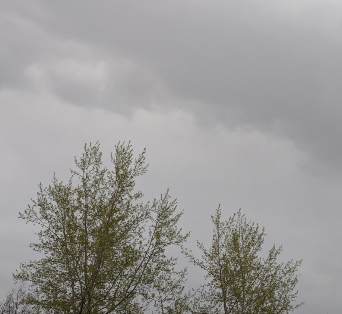 О неблагоприятных погодных условиях на территории Тульской области