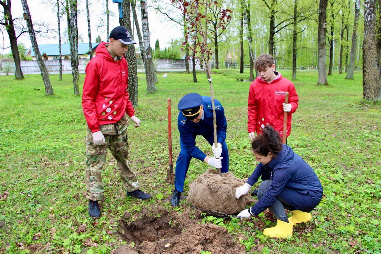 Прокурор Суворовского района принял участие во Всероссийской эколого-патриотической акции «Сад памяти»