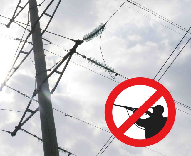 «Тулэнерго» предупреждает об ответственности за хищение оборудования и вандализм на энергообъектах