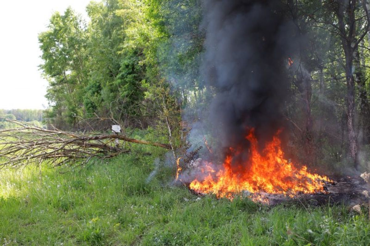 Внимание: 13 июля на территории Тульской области сохранится высокая степень пожароопасности
