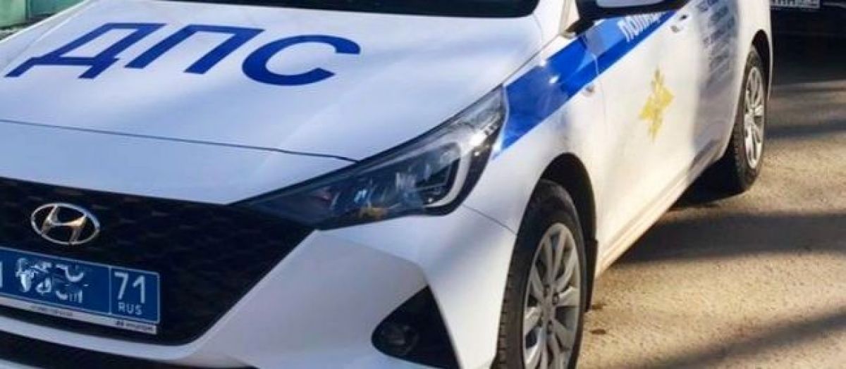 В Тульской области пьяный водитель насмерть сбил двух пешеходов
