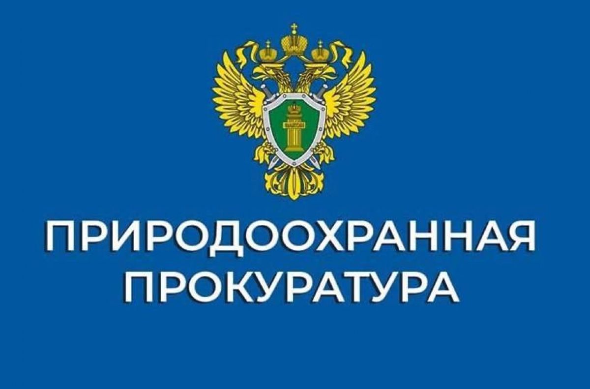 По иску природоохранного прокурора суд обязал юридическое лицо устранить нарушения в сфере охраны окружающей среды