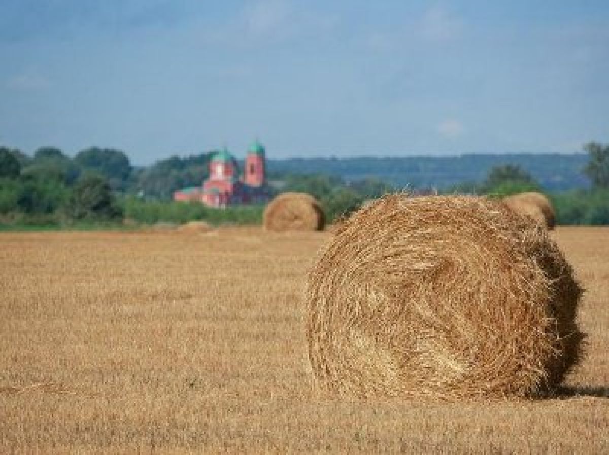 Насыщенные выходные в Монастырщино Насыщенные выходные в Монастырщино