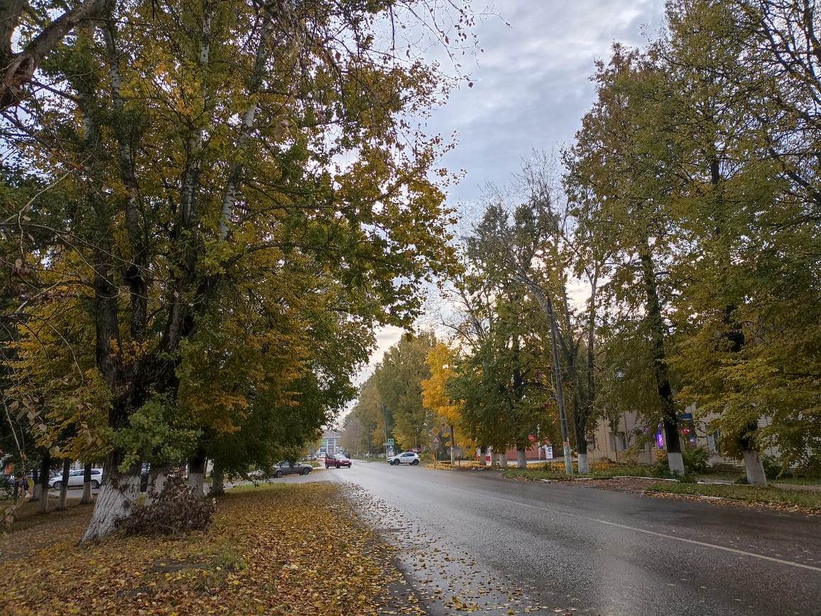 Небольшой дождь и ветер принесет кимовчанам четверг