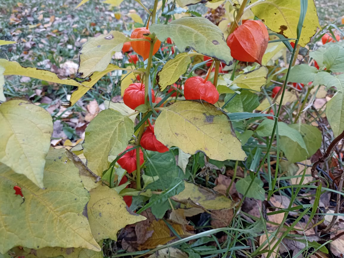 Днем в Тульской области потеплеет до +9 градусов Днем в Тульской области потеплеет до +9 градусов