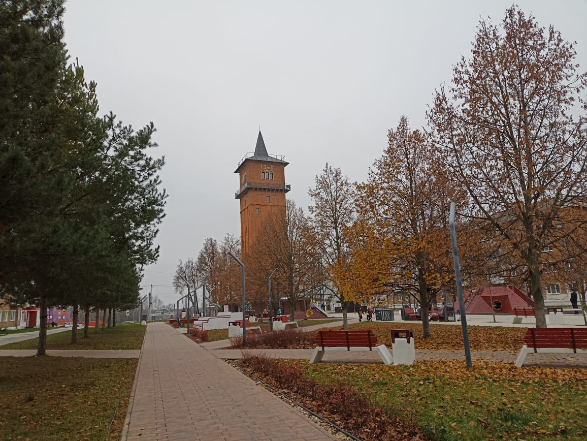 Начало недели в Тульской области будет сопровождено небольшим дождем