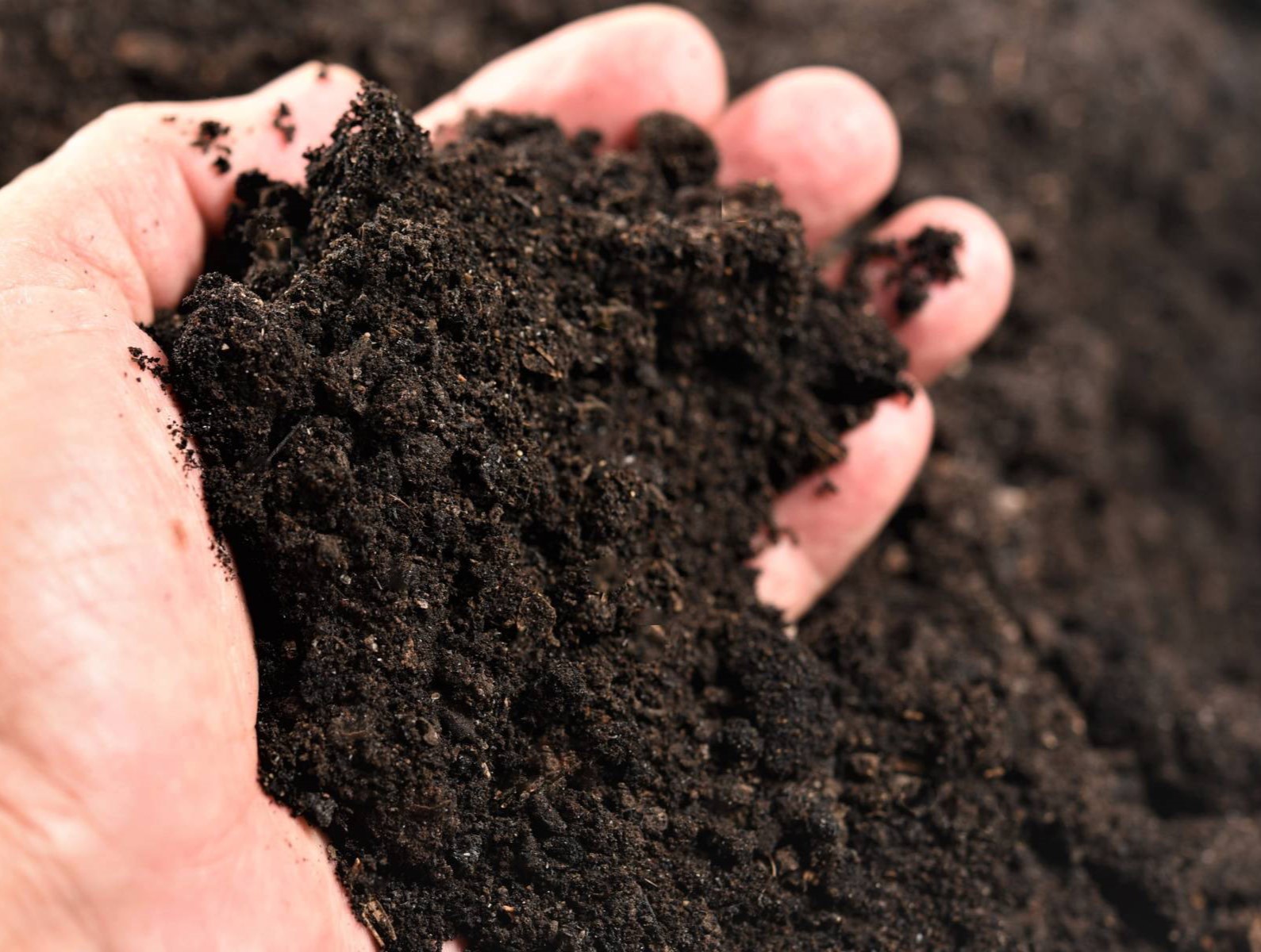 Гумус нужен для плодородия почвы