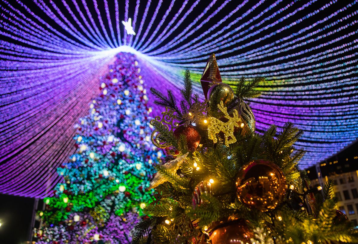 Парад курьеров, выставка собак в костюмах и автопробег Дедов Морозов: программа новогодних каникул в Тульской области Парад курьеров, выставка собак в костюмах и автопробег Дедов Морозов: программа новогодних каникул в Тульской области