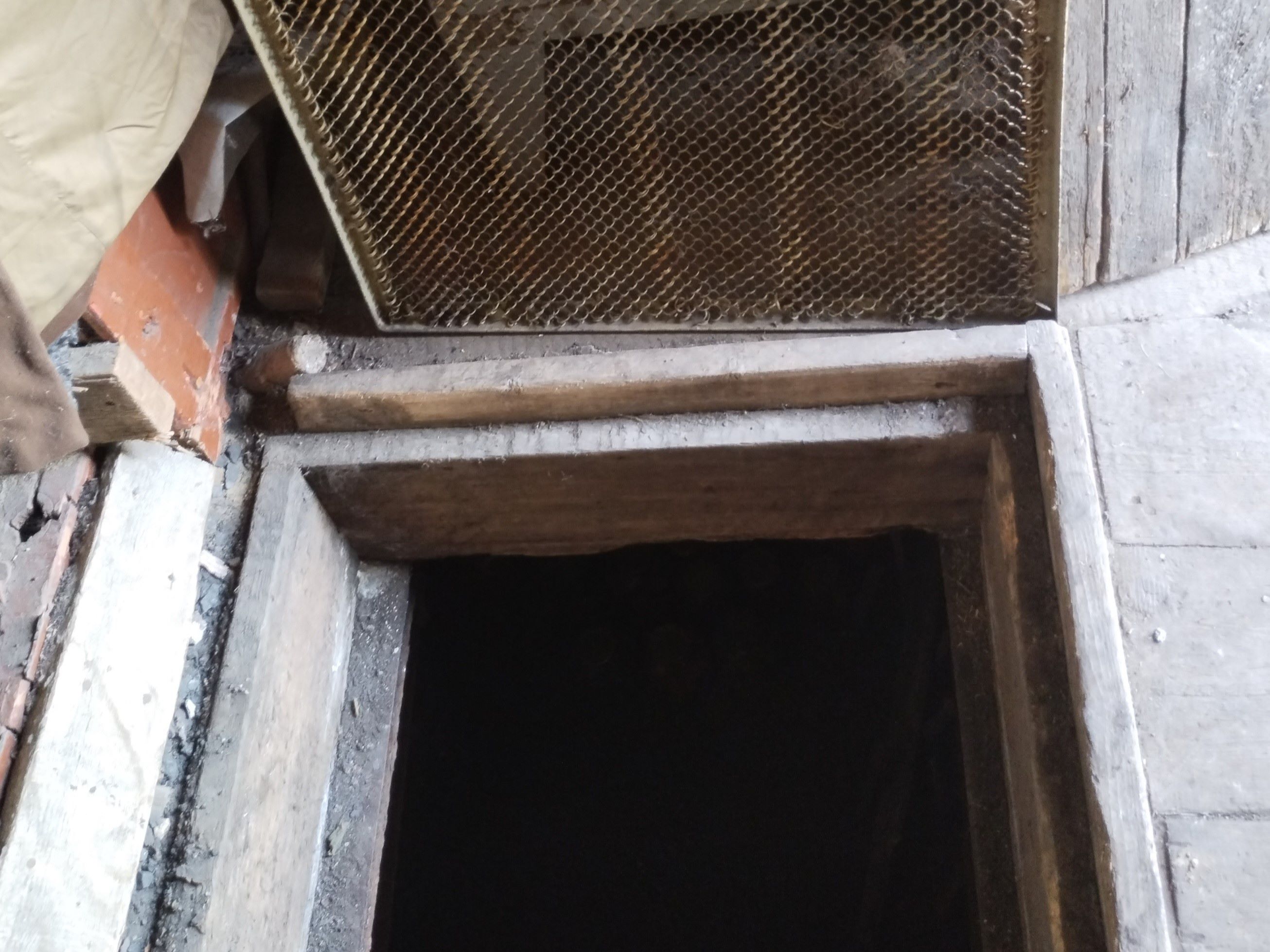 Мышевидные грызуны в подвалах и складах