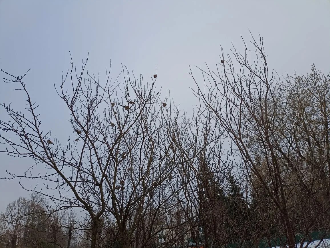 Воскресный день порадует кимовчан теплом