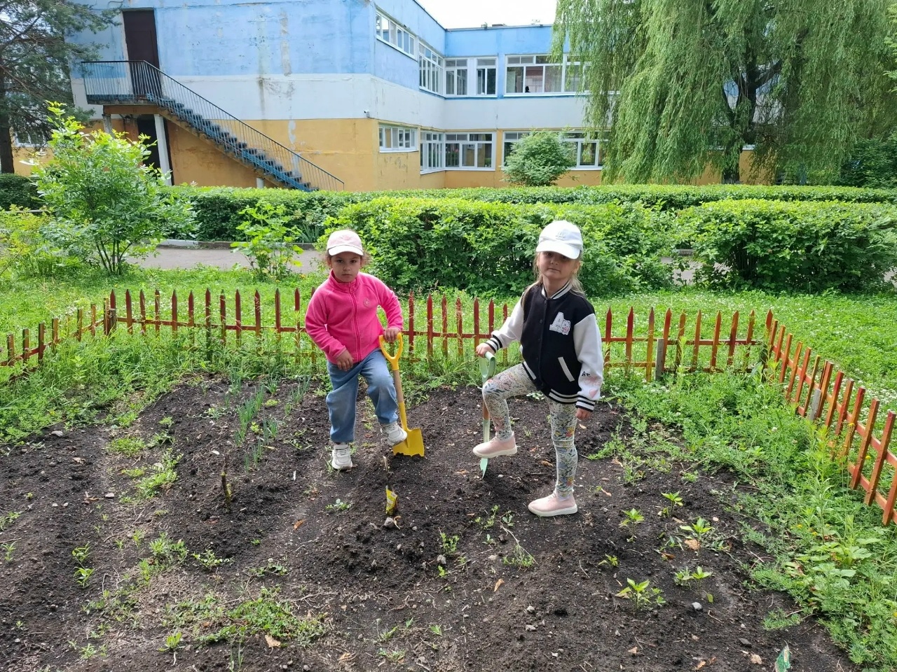 На маленьком огороде детского сада каждый день   чудо