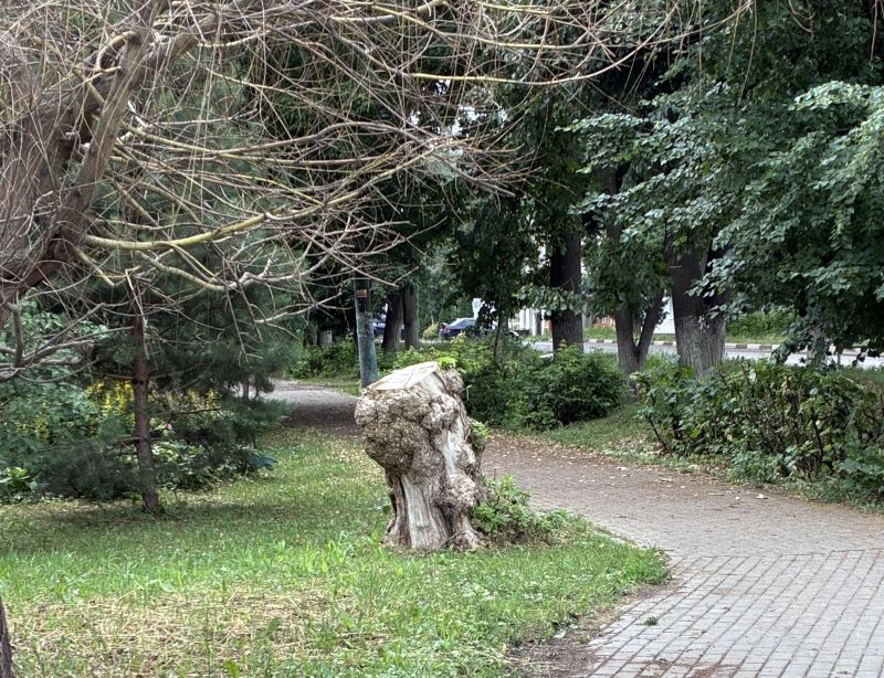 Кимовчан предупреждают о жаре 2 августа Кимовчан предупреждают о жаре 2 августа