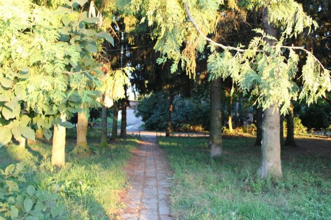 Более 392 млн рублей выделят районам Тульской области на обновление парков, скверов и дворов