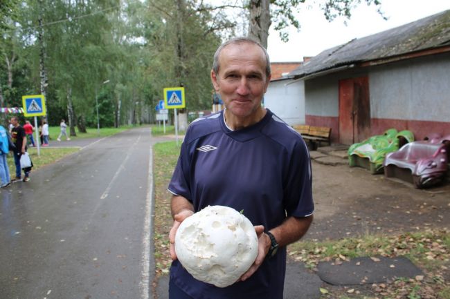 В Киреевском парке нашли дождевик размером с футбольный мяч