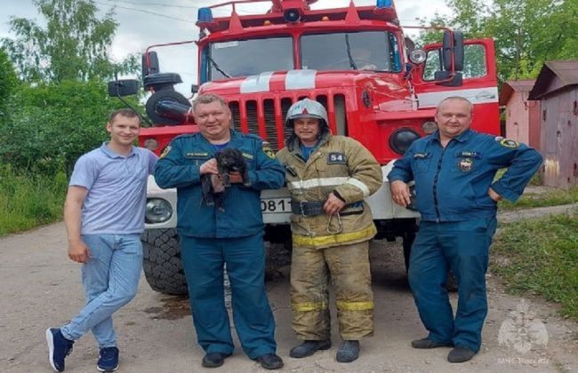 В Болохово огнеборцы спасли кроху-щенка