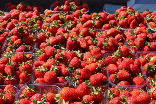 Существует множество продуктов, которые способны укрепить иммунитет человека