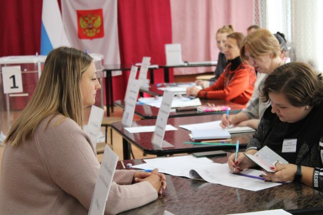 В Тульской области явка избирателей на 10.00 составила 28,93%