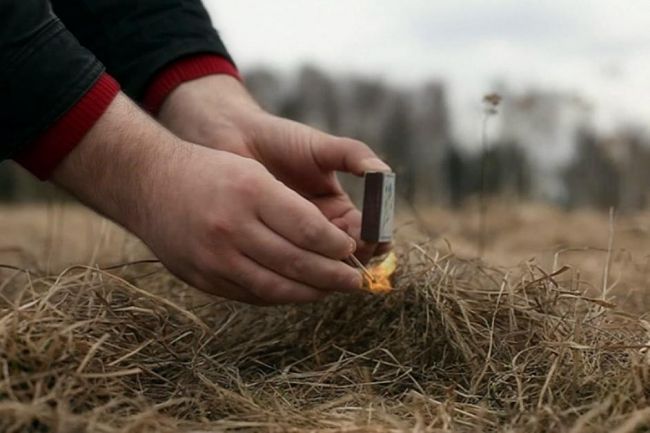 За информацию о поджигателях сухой травы киреевчанам заплатят 10 тысяч рублей