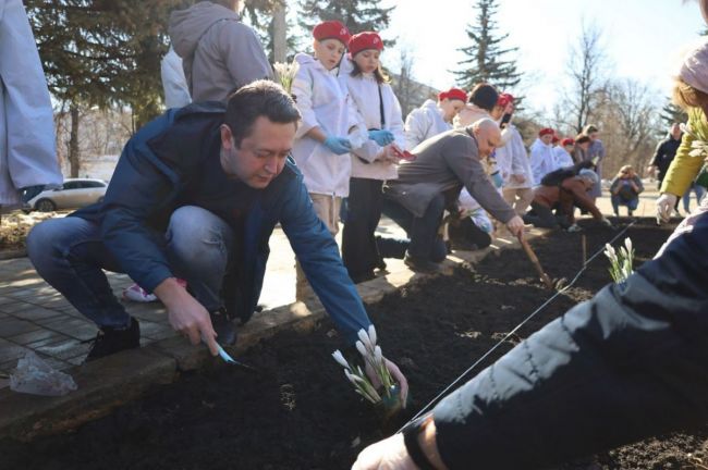 В Новомосковске высадили крокусы в память о жертвах теракта в Подмосковье