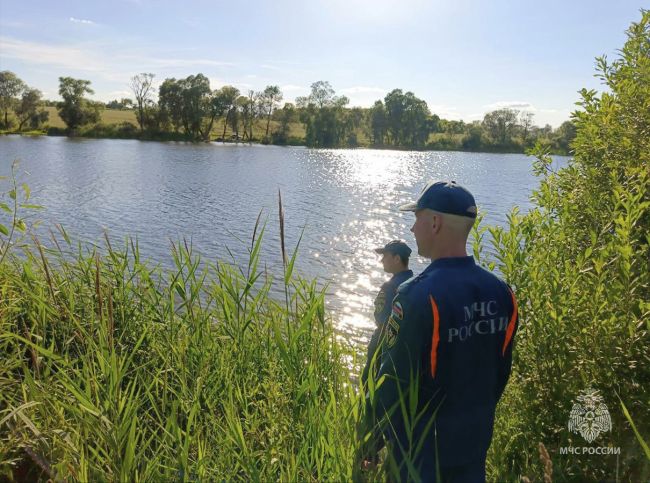 На реке Шиворонь было обнаружено и извлечено тело мужчины